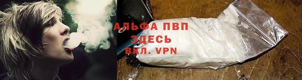 шишки Армянск