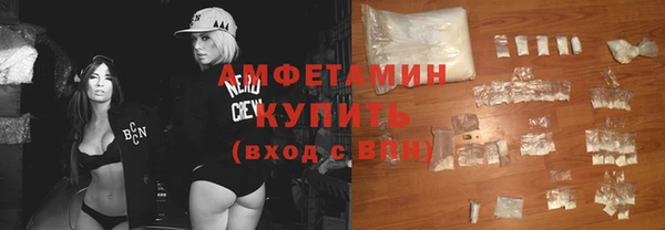 стаф Аркадак