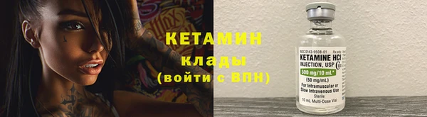 шишки Армянск