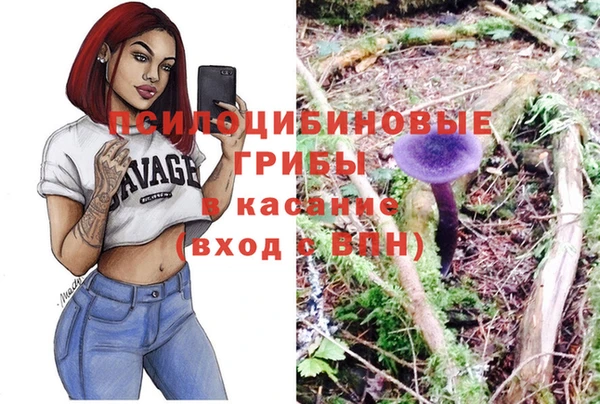 шишки Армянск