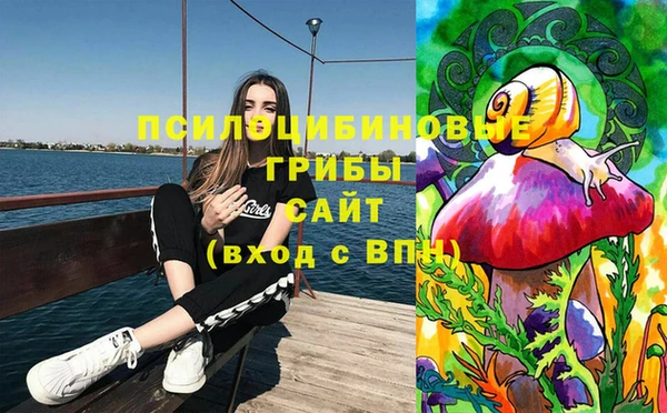 стаф Аркадак