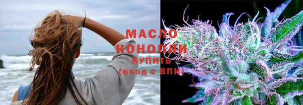 стаф Аркадак