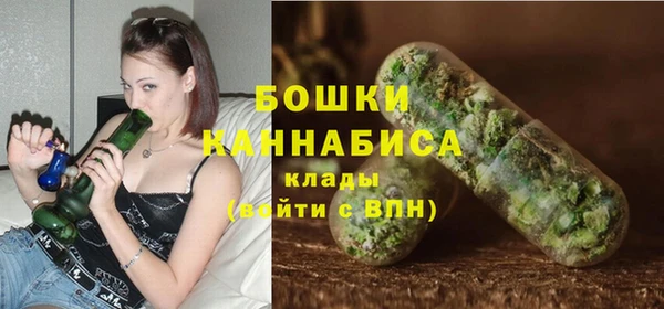 шишки Армянск