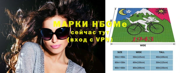 стаф Аркадак