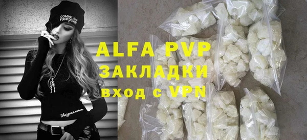 стаф Аркадак