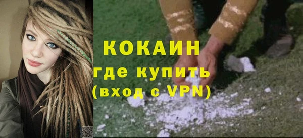 стаф Аркадак
