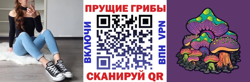 Галлюциногенные грибы прущие грибы  Волгоград 